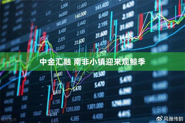 中金汇融 南非小镇迎来观鲸季