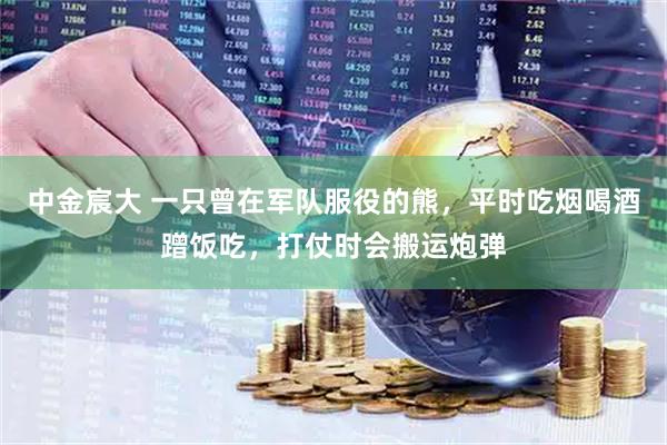 中金宸大 一只曾在军队服役的熊，平时吃烟喝酒蹭饭吃，打仗时会搬运炮弹