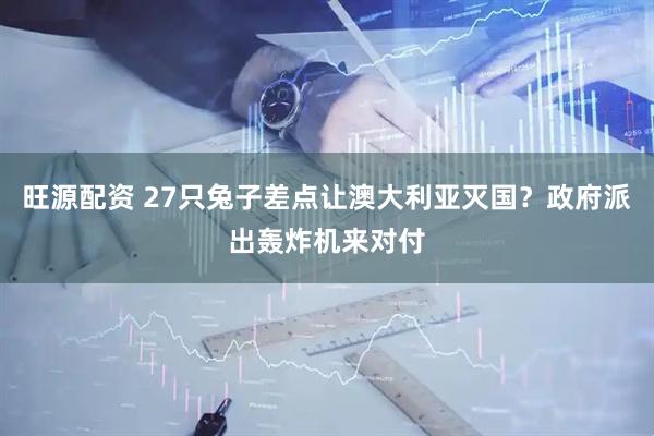 旺源配资 27只兔子差点让澳大利亚灭国?政府派出轰炸机来对付