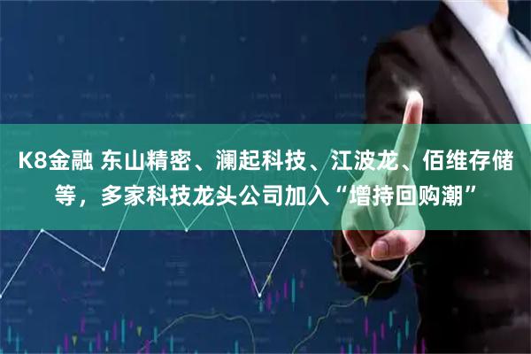 K8金融 东山精密、澜起科技、江波龙、佰维存储等，多家科技龙头公司加入“增持回购潮”